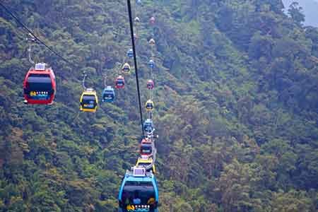 Sightseeing Tours