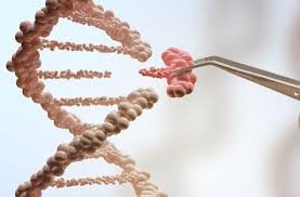 download 2026 02 10T032224.622